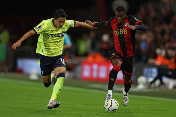 六周的康复 六周的康复